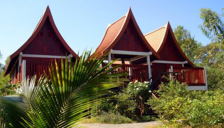 green gecko 15 768x441