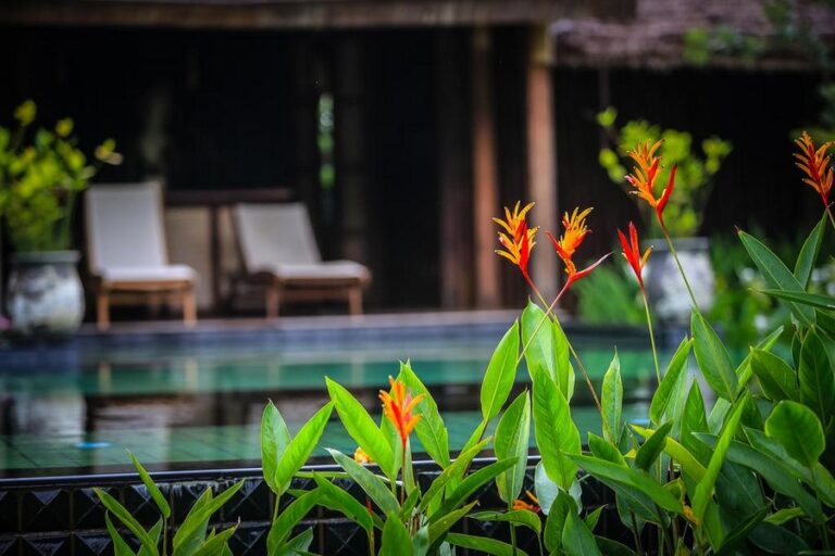 azalea village 09 768x512