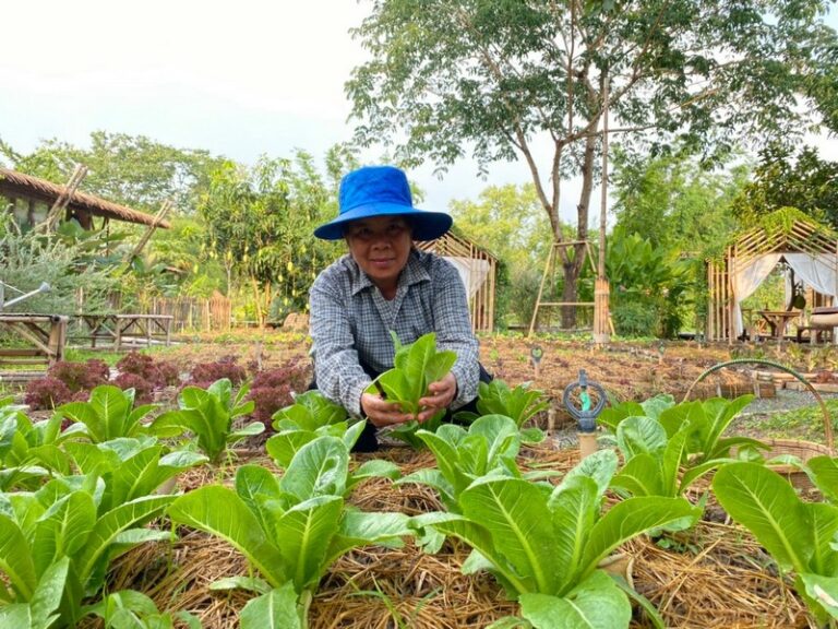 baan nok kok na 08 768x576