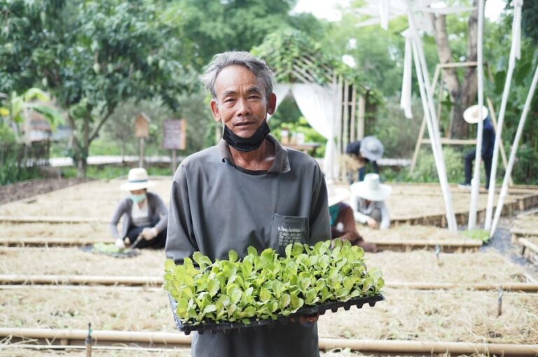 baan nok kok na 17 768x510