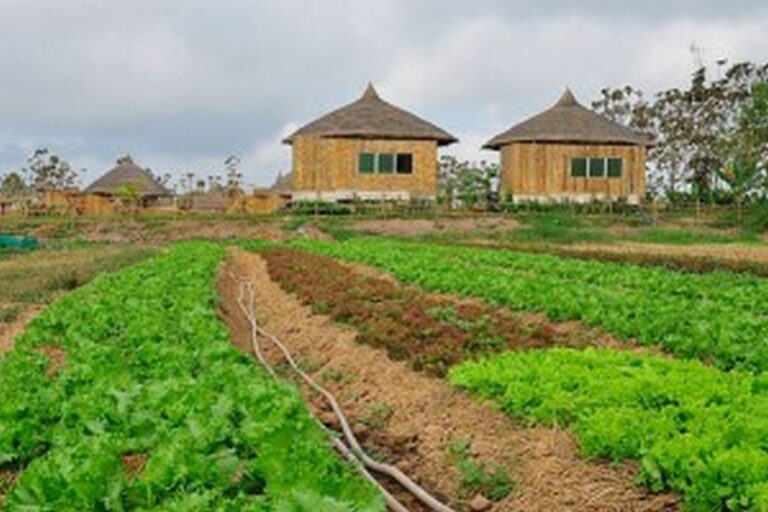 baan phu luang 03 768x512