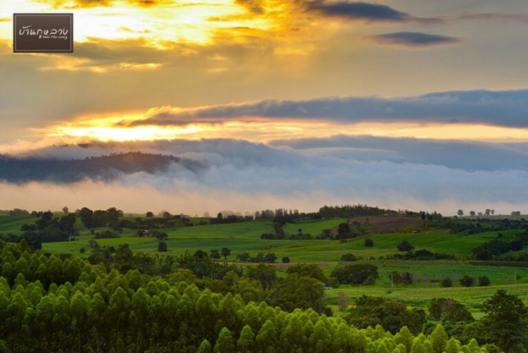 baan phu luang 12 768x513