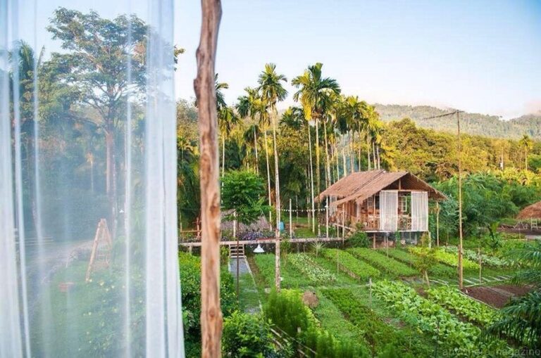 baan rai i 01 768x509