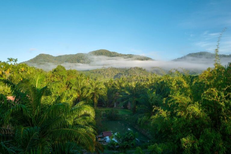 baan rai i 07 768x511