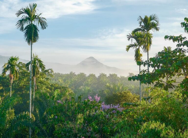 baan rai i 10 768x563