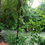 banaimong 03 150x150
