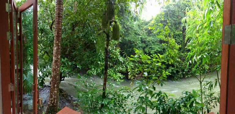 banaimong 03 768x375