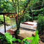 banaimong 04 150x150