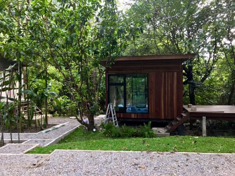 banaimong 07 768x576