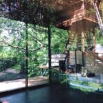 banaimong 10 150x150