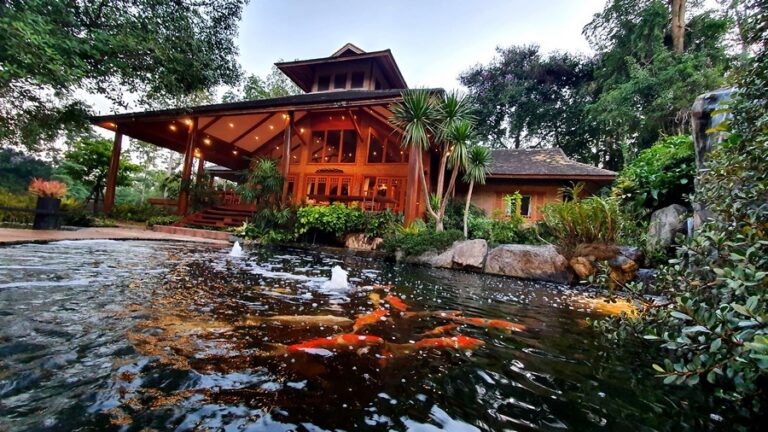 chayana resort 17 768x432