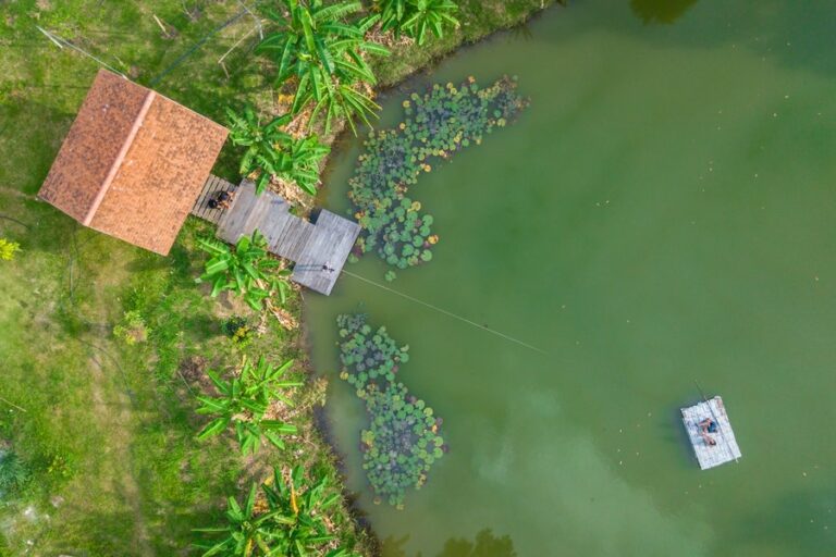 cool living 03 768x512