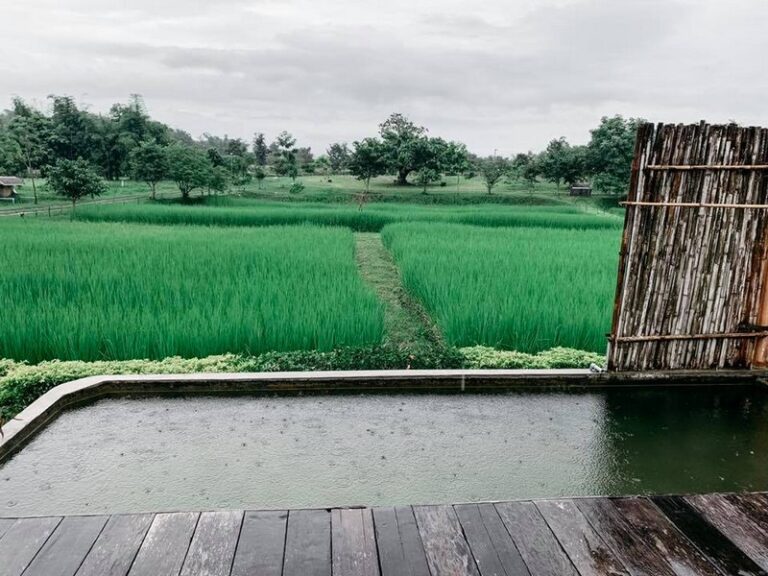 cool living 11 768x576