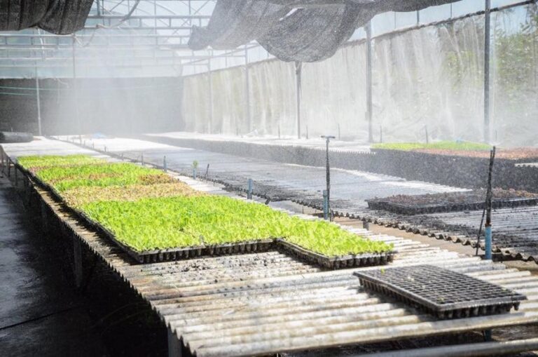 cool living 13 768x509