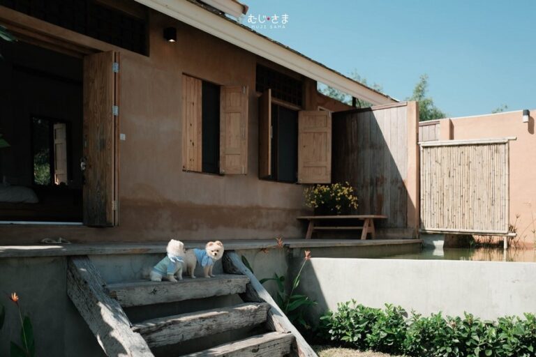 cool living 14 768x512