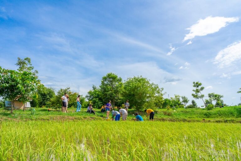 cool living 16 768x512