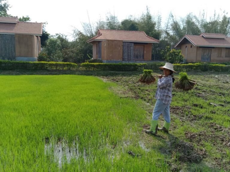 cool living 21 768x576