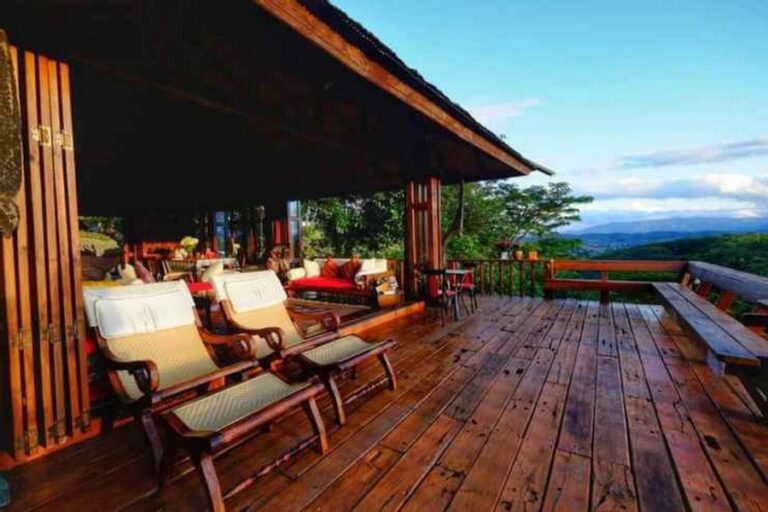 doi isara 03 768x512