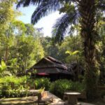 fern resort 01 150x150