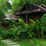 fern resort 11 150x150
