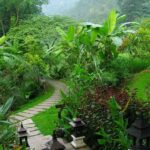 fern resort 12 150x150