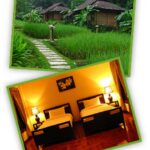 fern resort 15 150x150