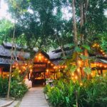 fern resort 16 150x150