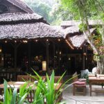 fern resort 17 150x150