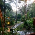fern resort 18 150x150