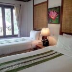 fern resort 25 150x150
