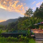 fern resort 27 150x150