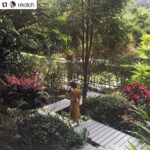 hidden resort 12 150x150