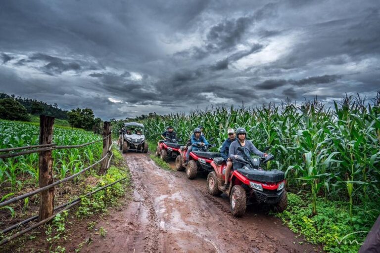 house love pai 02 768x512