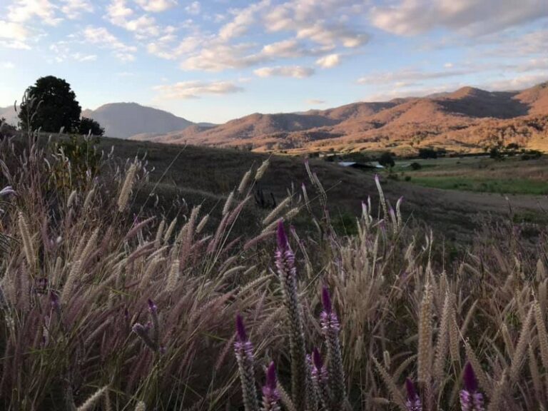 house love pai 04 768x576