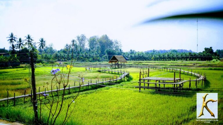 khong eyes 09 768x431