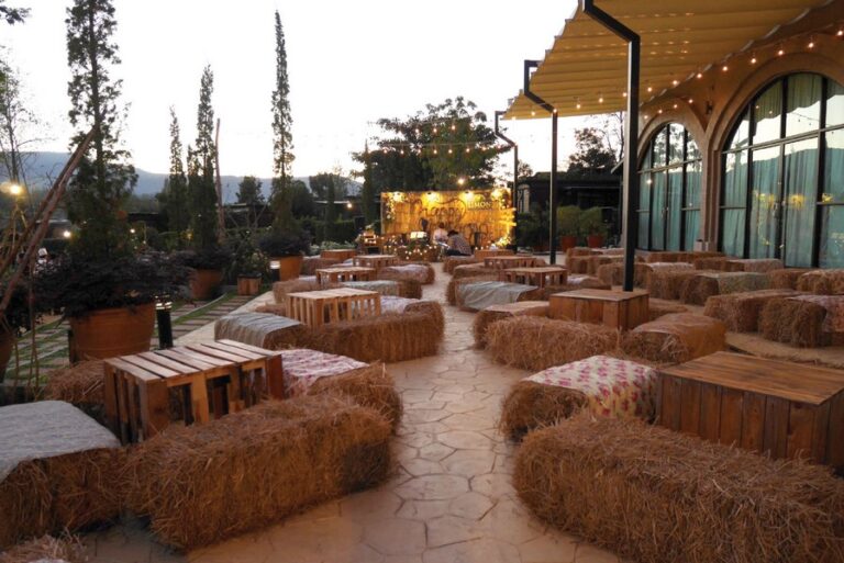 limon villa 17 768x513