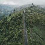 nan sripanna 03 150x150