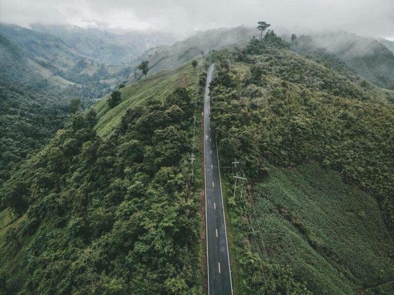 nan sripanna 03 768x575