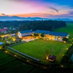 nan sripanna 04 150x150