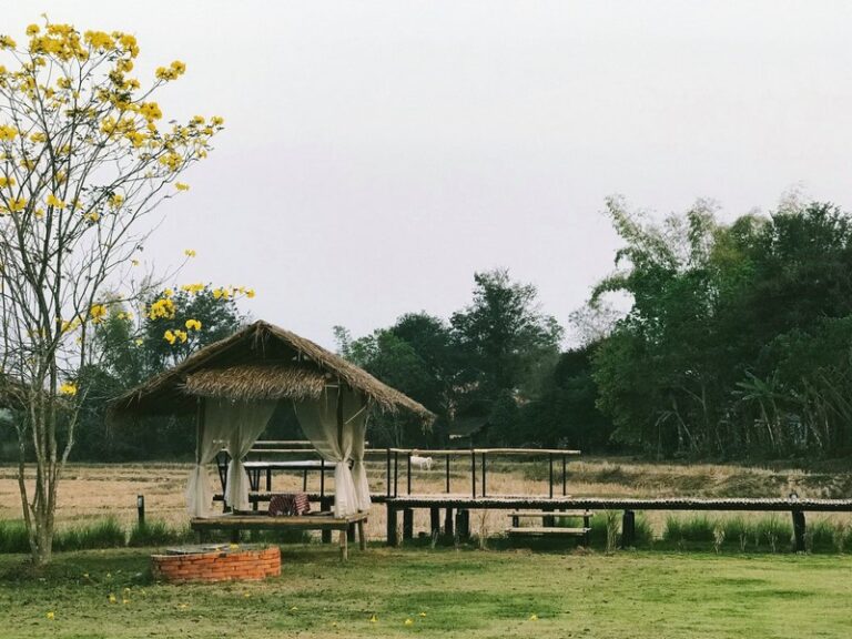 nan sripanna 05 768x576