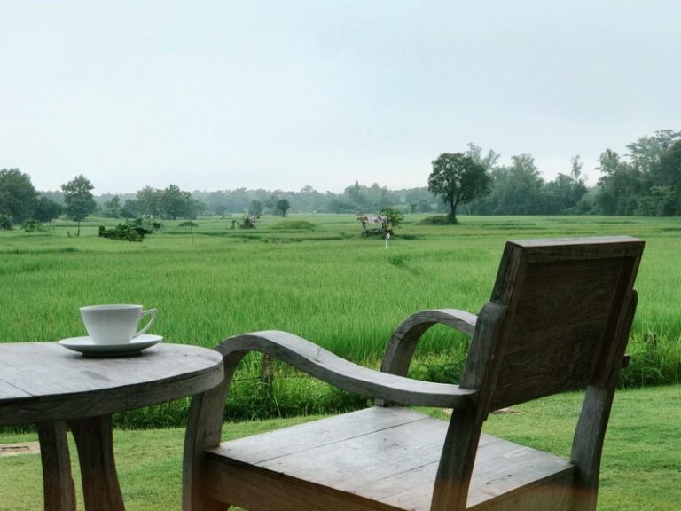 nan sripanna 12 768x576