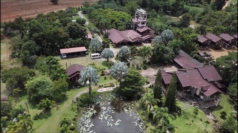 nicslongstay 03 768x432