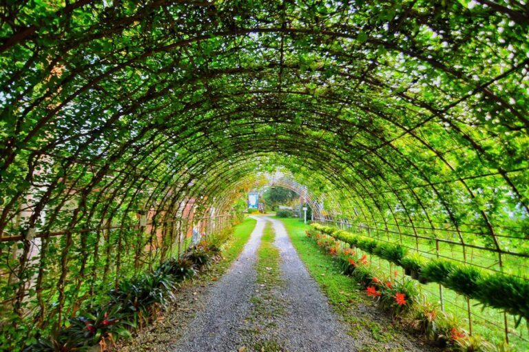 nicslongstay 12 768x511