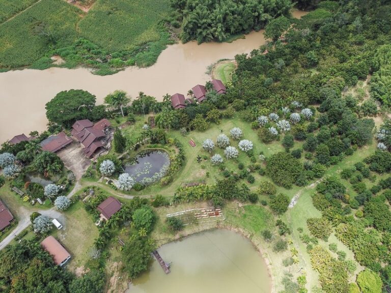 nicslongstay 19 768x576