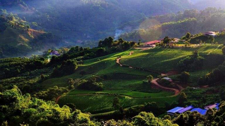 phumektawan 05 768x430