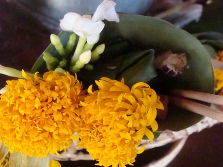 phunacome 10 768x576