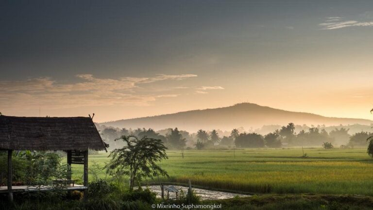 phuruarounmai 05 768x433