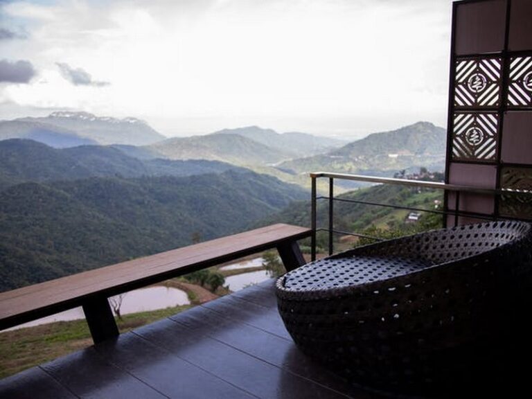 pino latte 02 768x576