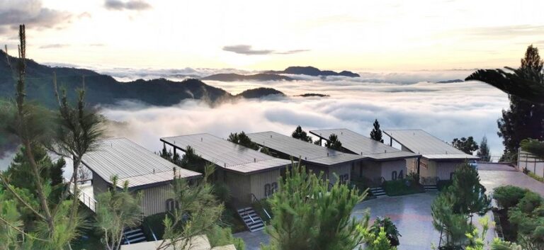 pino latte 06 768x353