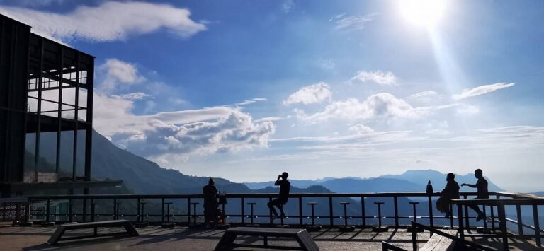 pino latte 08 768x355